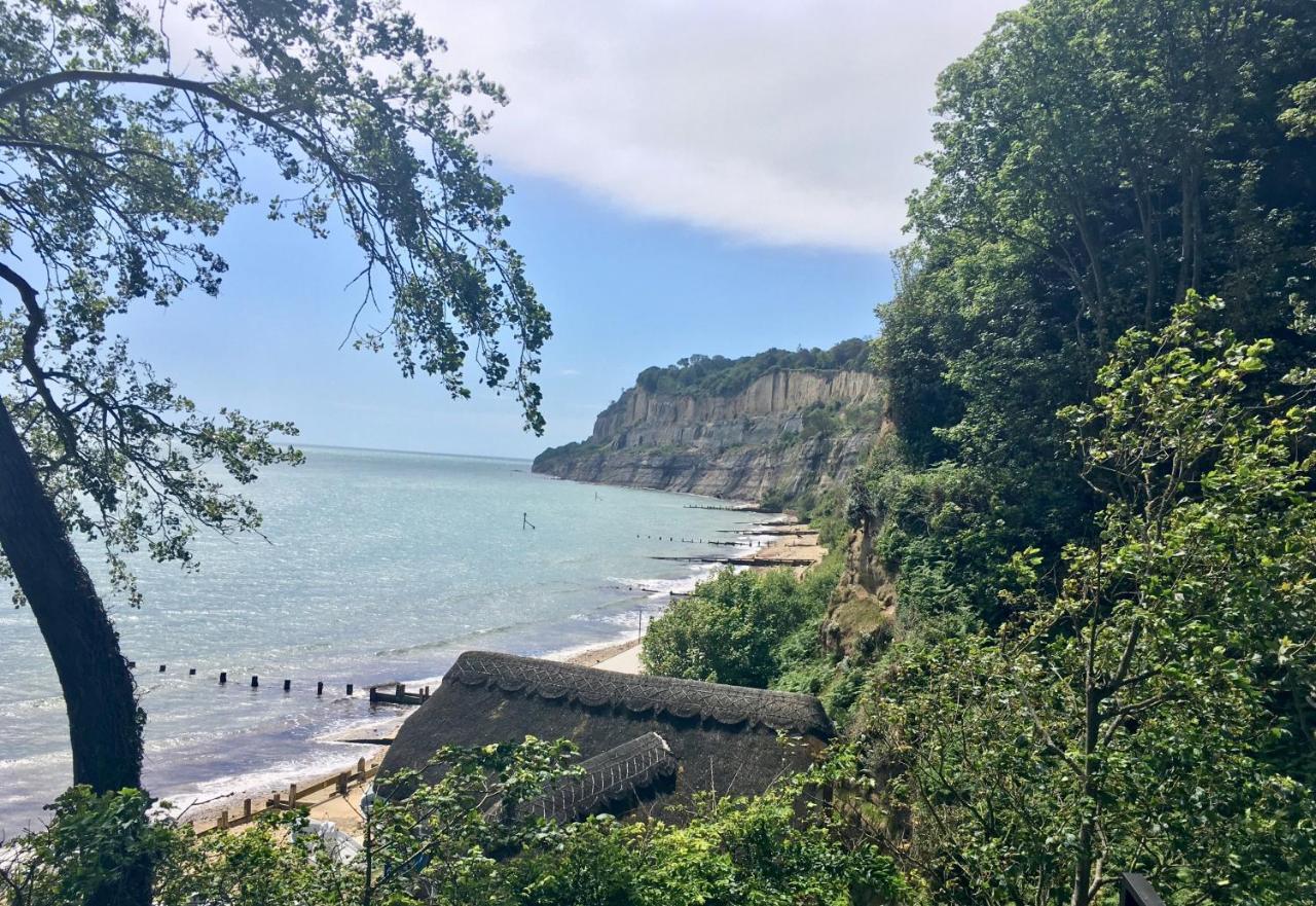 Maycliffe Shanklin Exteriör bild
